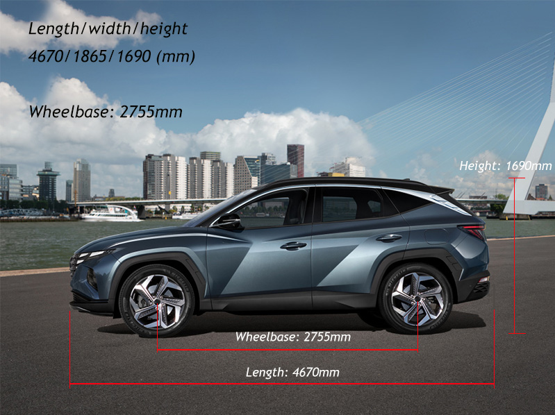 Hyundai Tucson NX4 Türzierleisten Fenster B C Säule Türsäule Abdeckung