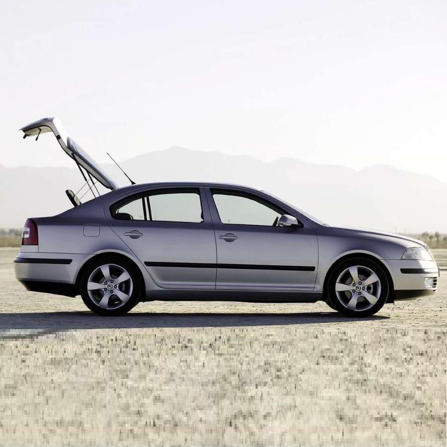 Skoda Octavia A5 Kofferraum Gepäckraum Hydraulischer Dämpfer Heber Halter