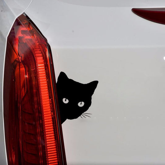 Schauende Katze Kätzchen Vinyl Aufkleber